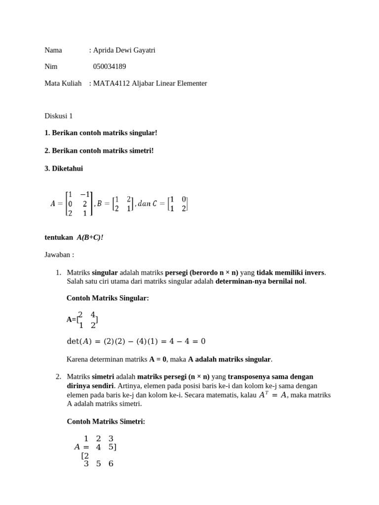 Contoh Matriks Singular dan Simetri | PDF
