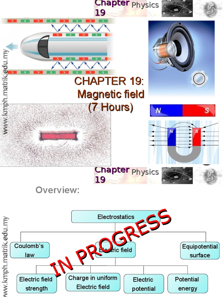 Understanding Magnetic Fields in Physics | PDF | Magnetic Field | Torque