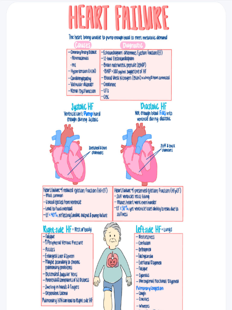 Hpa Notes | PDF