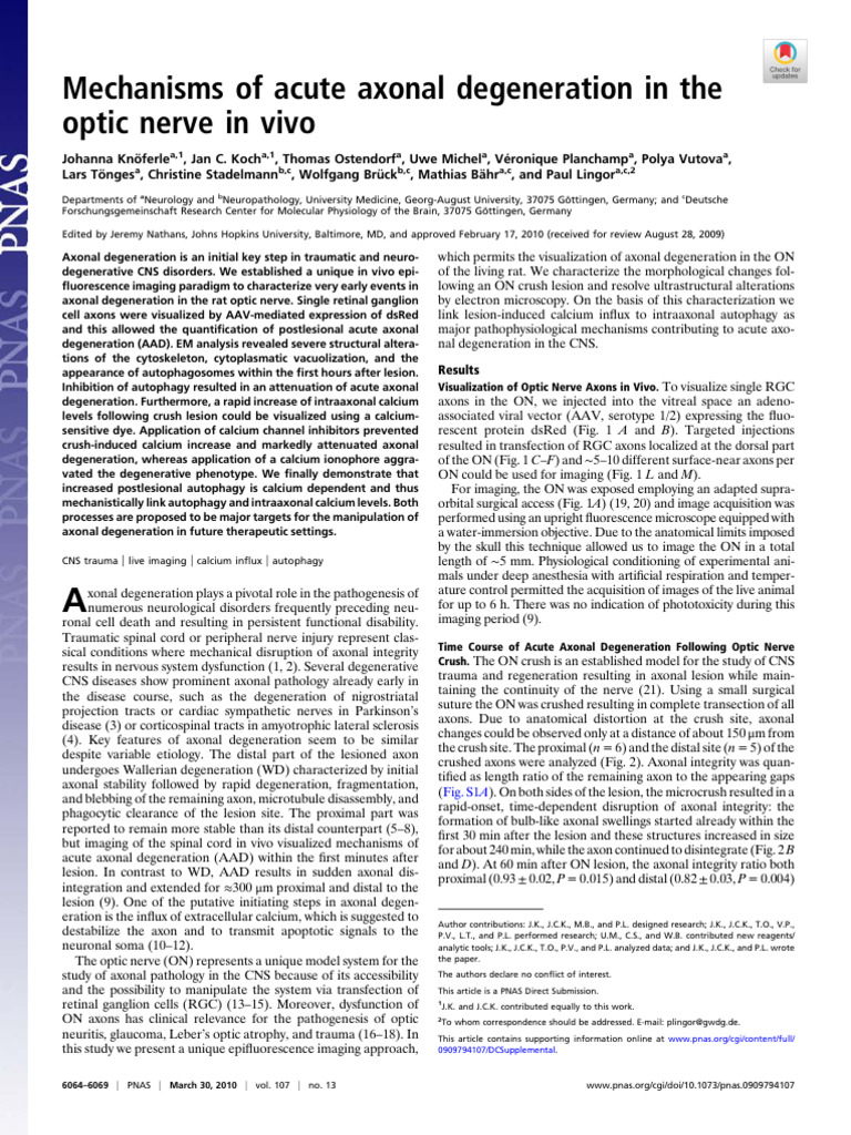 Acute Axonal Degeneration in Optic Nerve | PDF | Axon | Biology