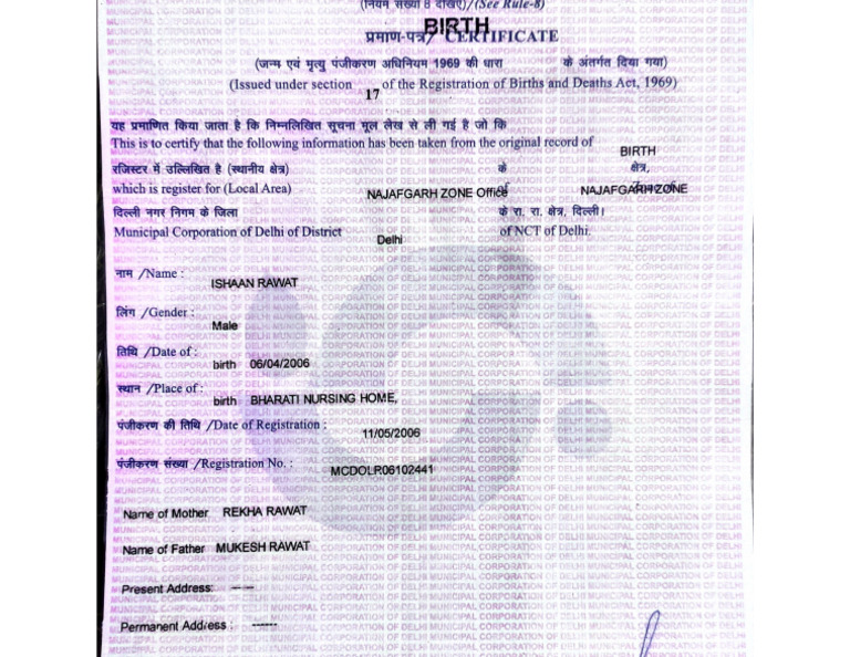 Birth Certificate | PDF