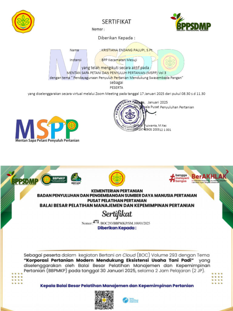 Sertifikat Peserta MSPP Januari 2025 | PDF