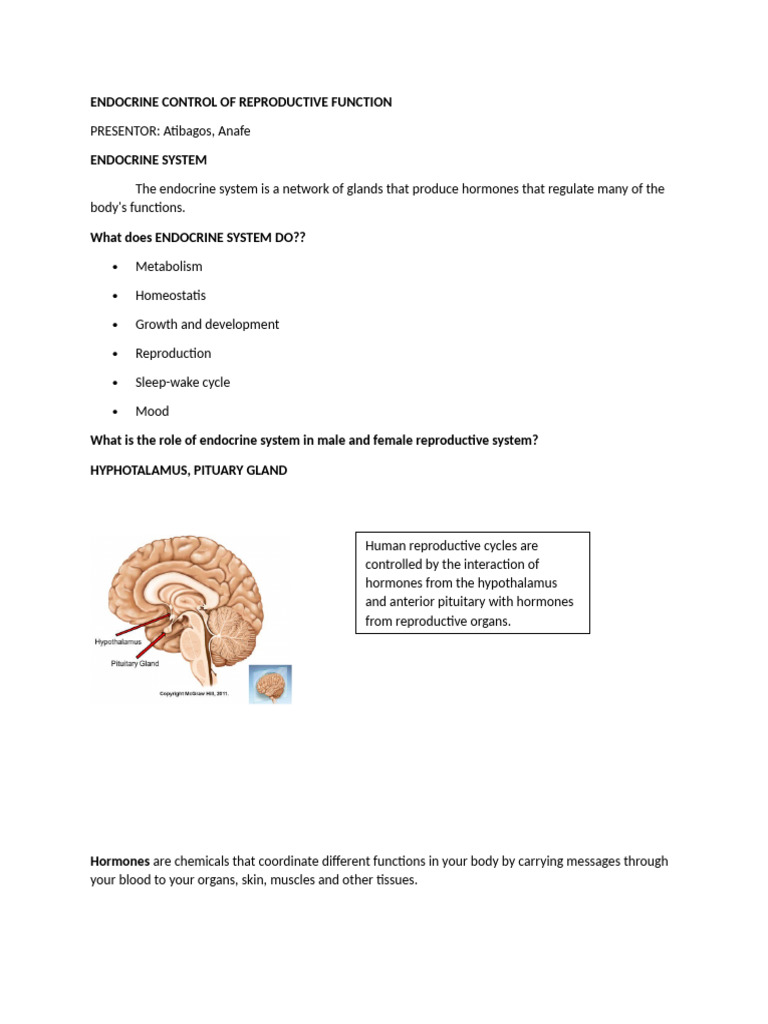 Endocrine Control of Reproductive Functions | PDF | Menstrual Cycle ...