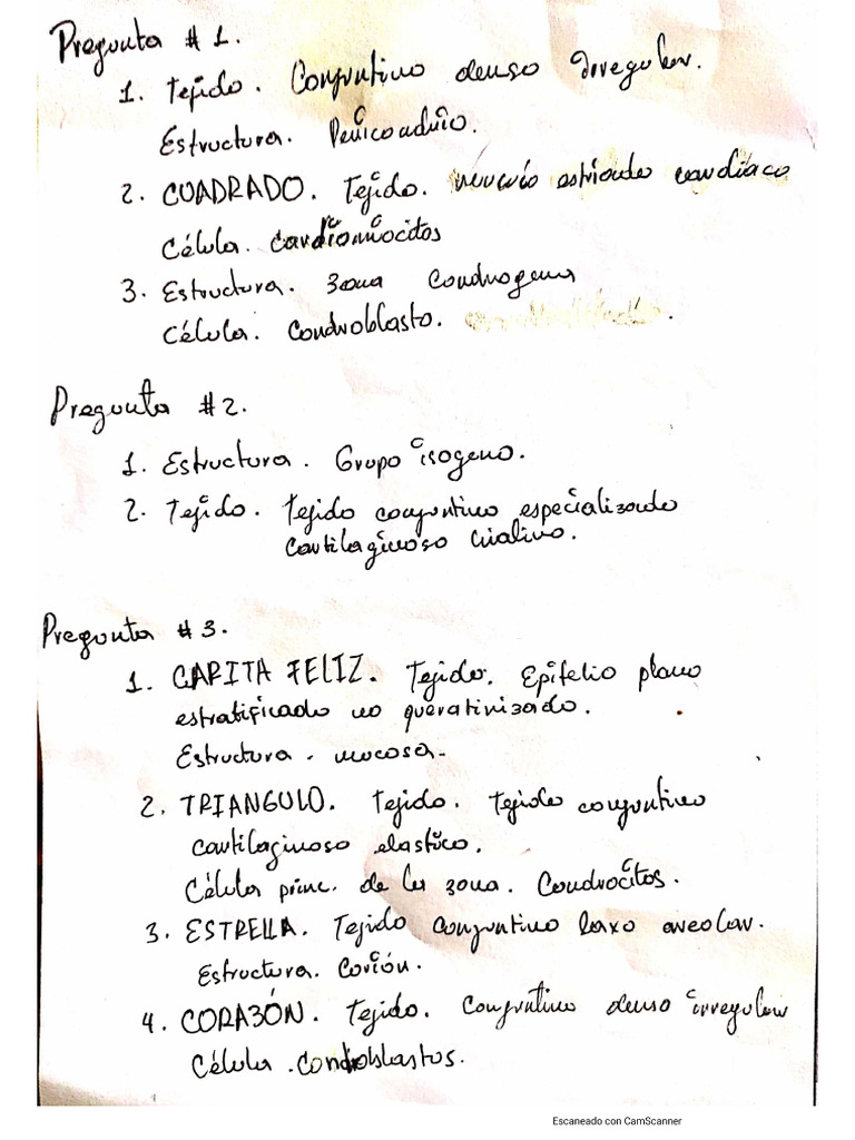 Quiz Lab | PDF