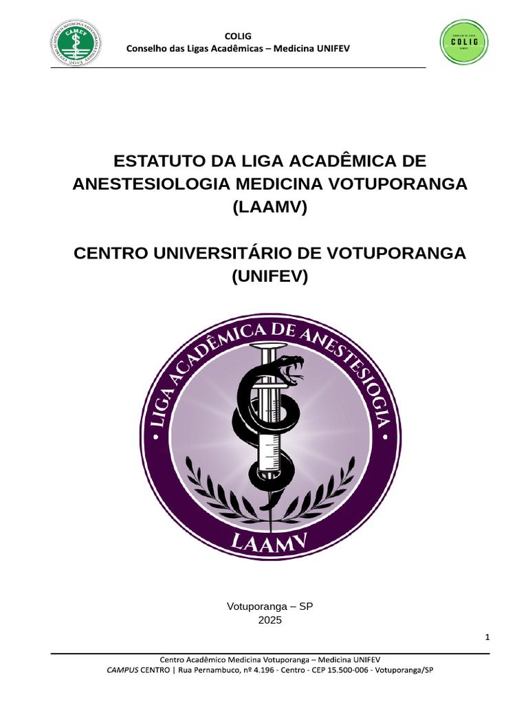 3 - Modelo Estatuto Ligas - Colig 2024.Docx - Documentos Google | PDF ...