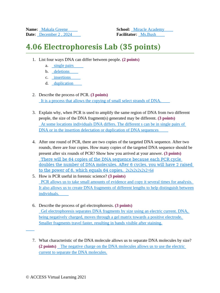 04-06 Task | PDF | Polymerase Chain Reaction | Gel Electrophoresis