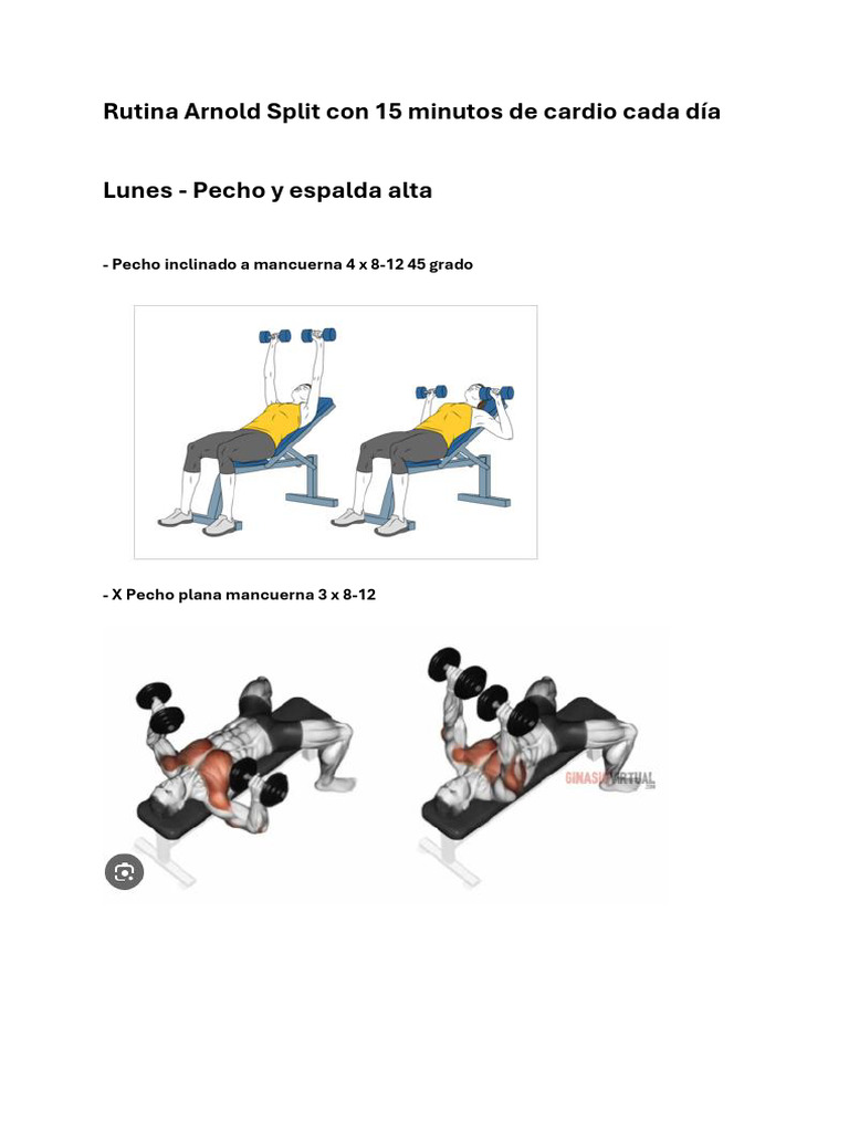 Rutina Arnold Split con Cardio Diario | PDF