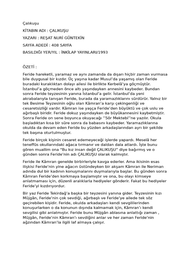 Calikusu A3 | PDF