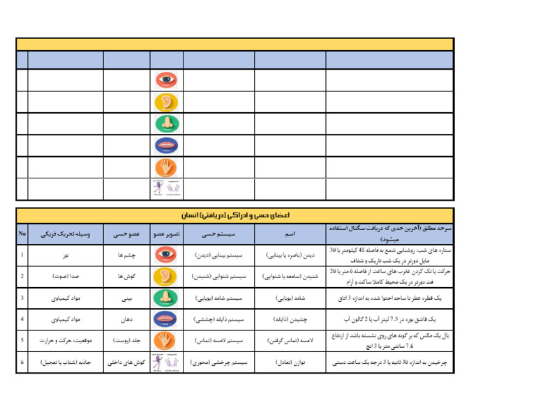 The Human Sensory and Perceptual System | PDF