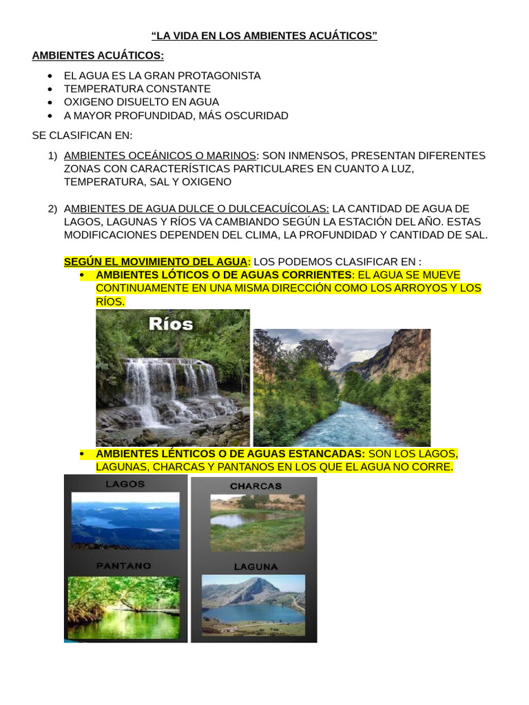 Clasificación de Ambientes Acuáticos | PDF | Agua | lago