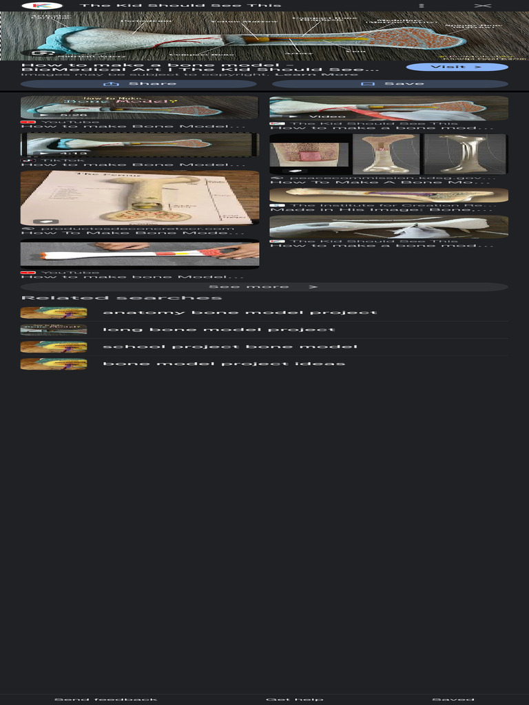 Bone Model Project Guide | PDF