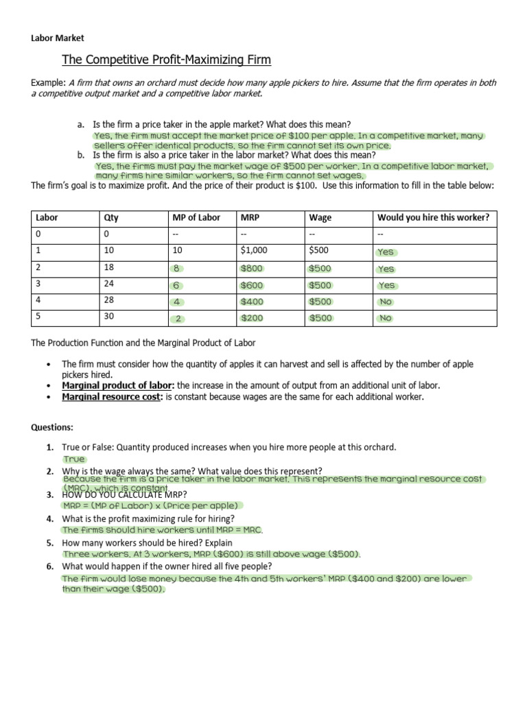 Profit Maximization in Labor Markets | PDF