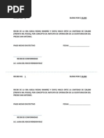 Acta de Entrega de Cheque