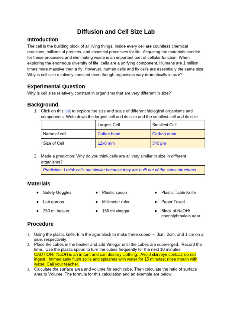 Ellie Boyd - F23 Diffusion and Cell Size Lab | PDF | Volume | Area