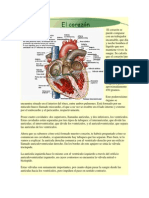 EL CORAZON YURLEY