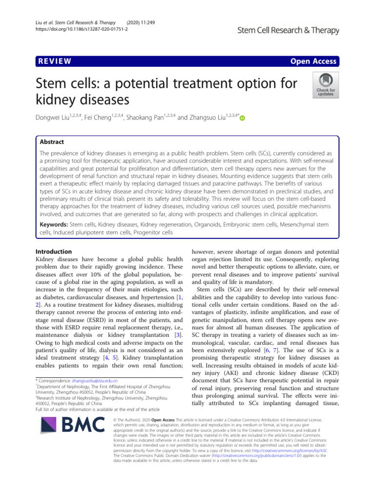 Stem Cells: A Potential Treatment Option For Kidney Diseases | PDF ...