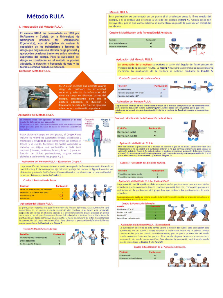 Metodo Rula | PDF