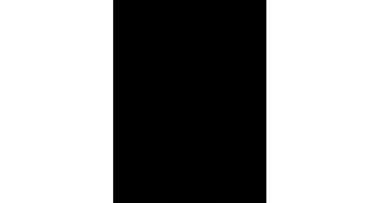 modified-rivermead-mobility-index-guide-pdf