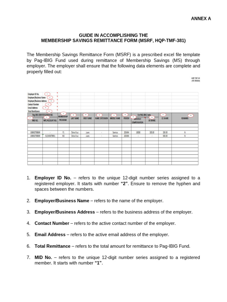 MSRF Completion Guide for Employers | PDF | Employment | Salary