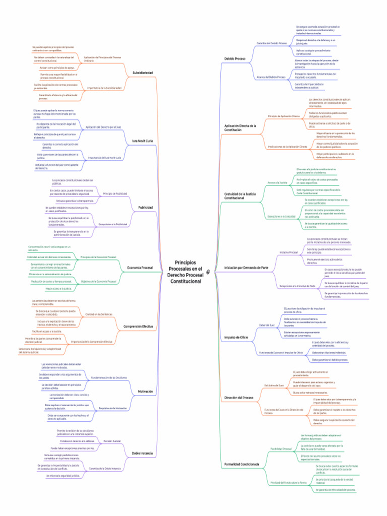 Principios del Derecho Procesal Constitucional | PDF | Debido al ...