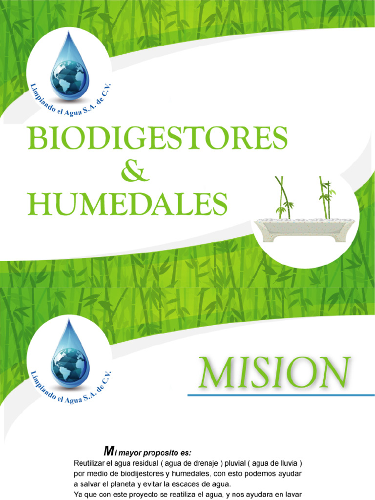 Bio Digest Ores | PDF