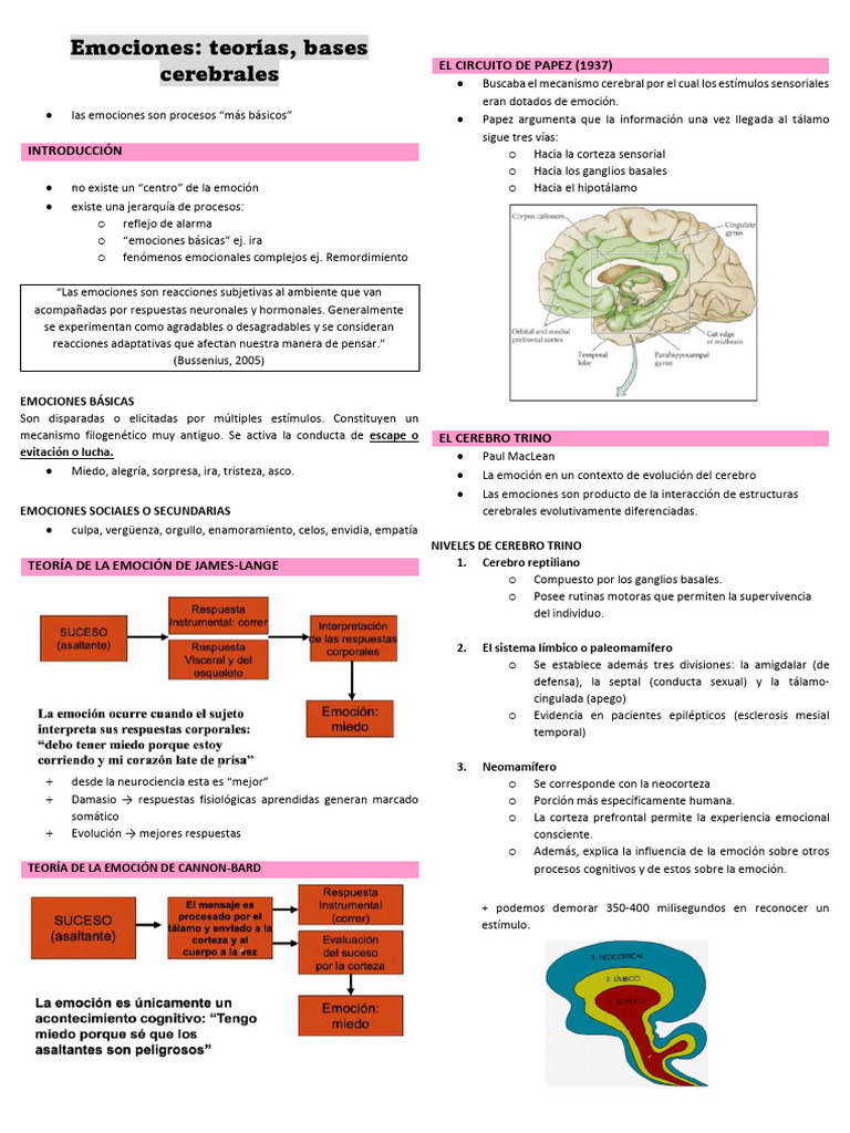 Teorías y Bases Cerebrales de las Emociones | PDF | Las emociones | Cerebro