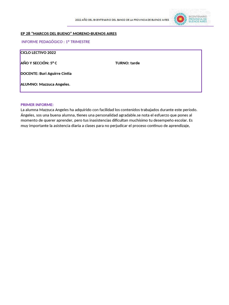 Informe Pedagógico 5° C - 1er Trimestre | PDF