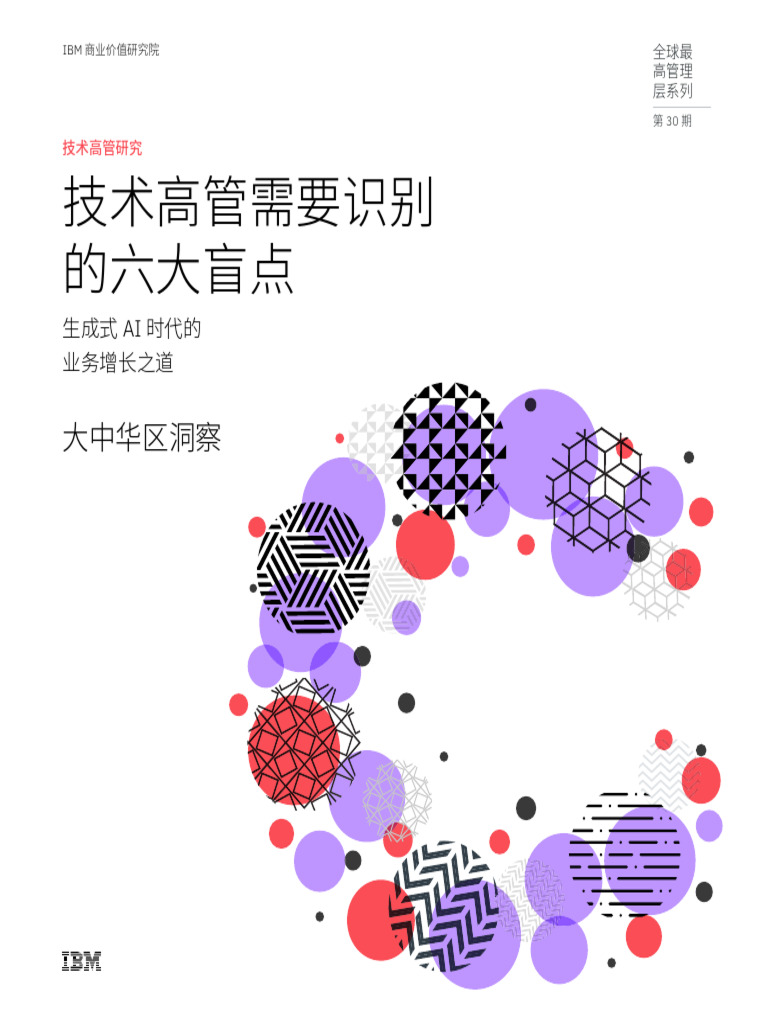 2024高管调研技术高管需要识别的六大盲点报告| PDF