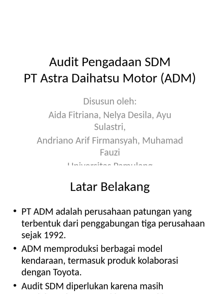 Audit_SDM_ADM (1) | PDF