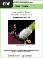 Ciclo de Vida del Trips: Guía Completa | PDF | Control biológico de ...