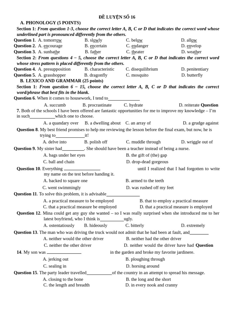 Phonology and Grammar Practice Test | PDF | Gifted Education