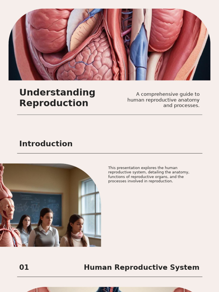 Understanding Reproduction | PDF | Human Reproduction | Reproductive System