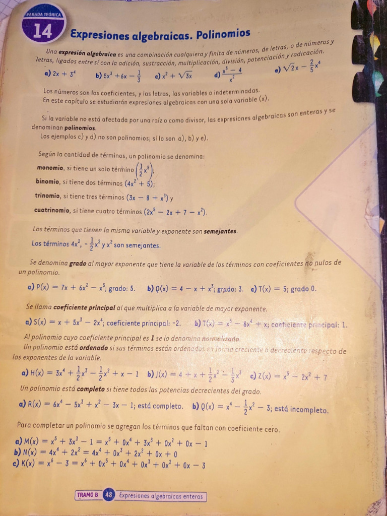 Capitulo 2 y 3 de Expresiones Algebraicas y Polinomios | PDF