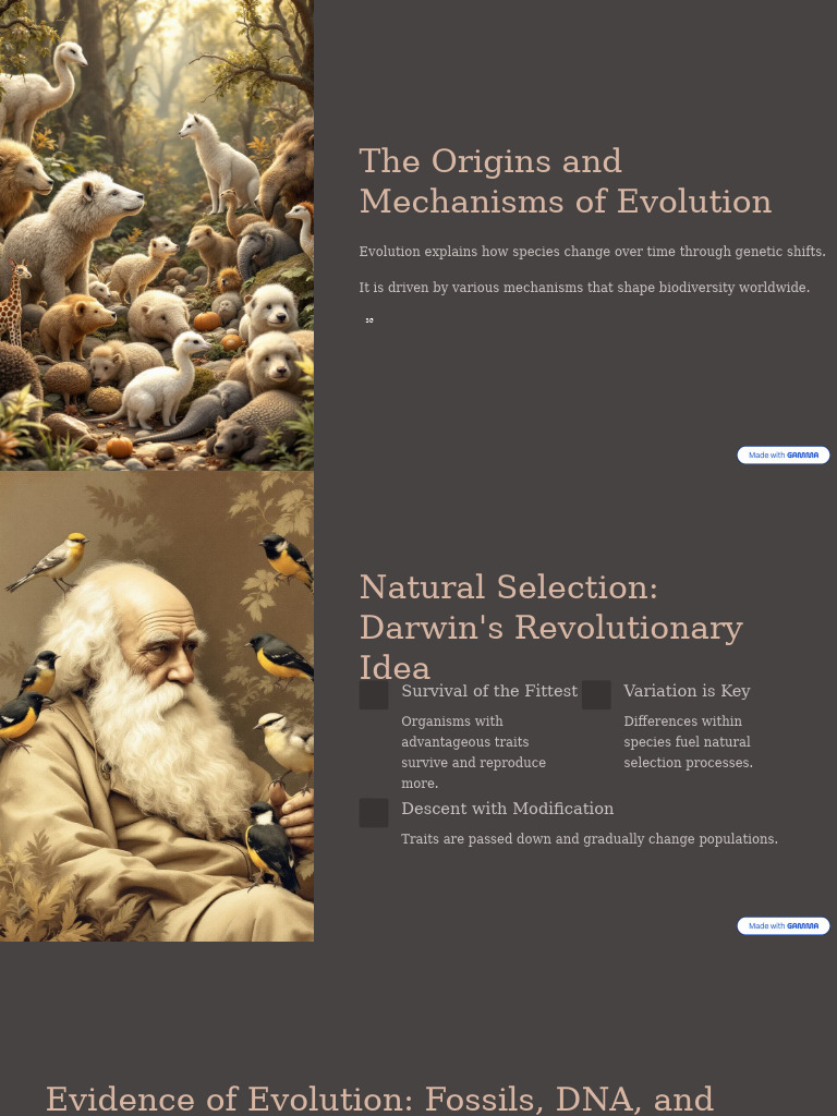 Mechanisms and Evidence of Evolution | PDF | Evolution | Human Evolution