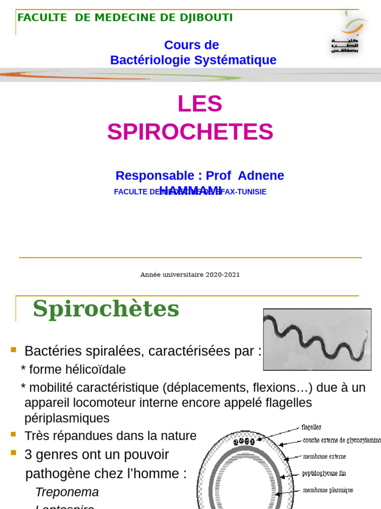 Diagnostic et pathogénie de la syphilis | PDF | Maladies animales ...