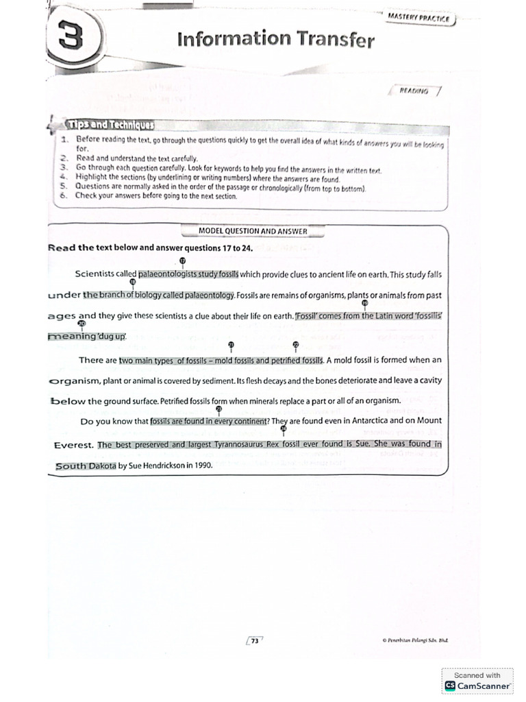 Mastery Practice Part 3 | PDF