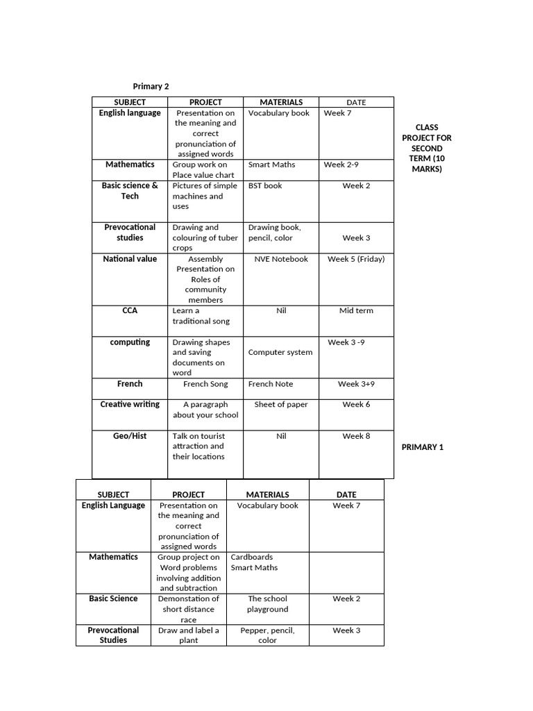 Class Project For Primary 1,2,3-1 | PDF