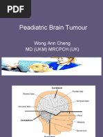 Download Peadiatric Brain Tumour by An Zheng SN8525759 doc pdf
