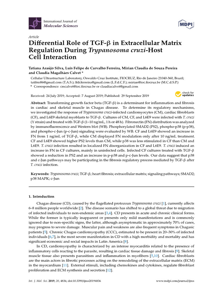Differential Role of TGF-B in Extracellular Matrix | PDF | Cell ...