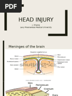 Caring For Yourself After Head Injury Acc NZ | PDF