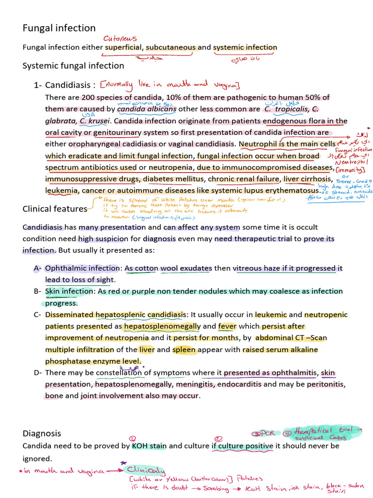 Overview of Fungal Infections | PDF | Candidiasis | Candida (Fungus)