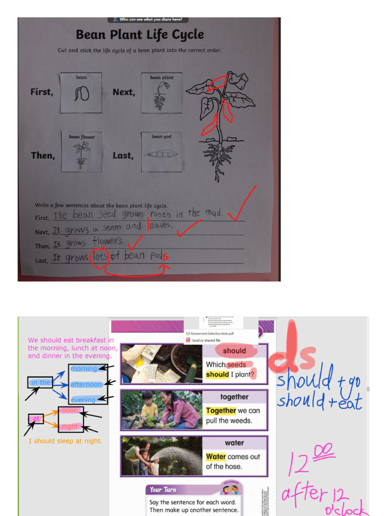 2.21 Class Notes Elsa | PDF