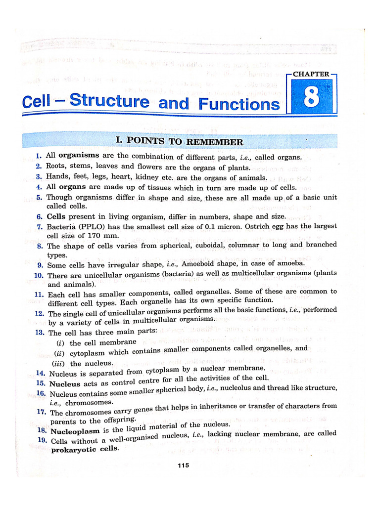 Chapter 8 | PDF