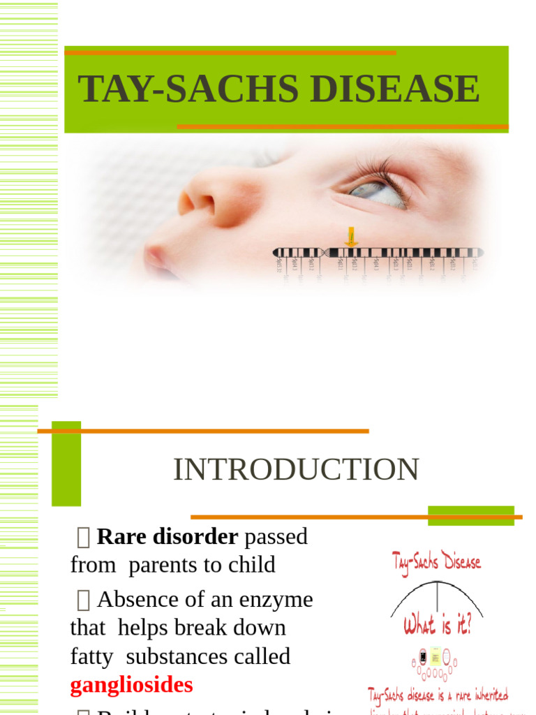 Tay Sachsdisease | PDF
