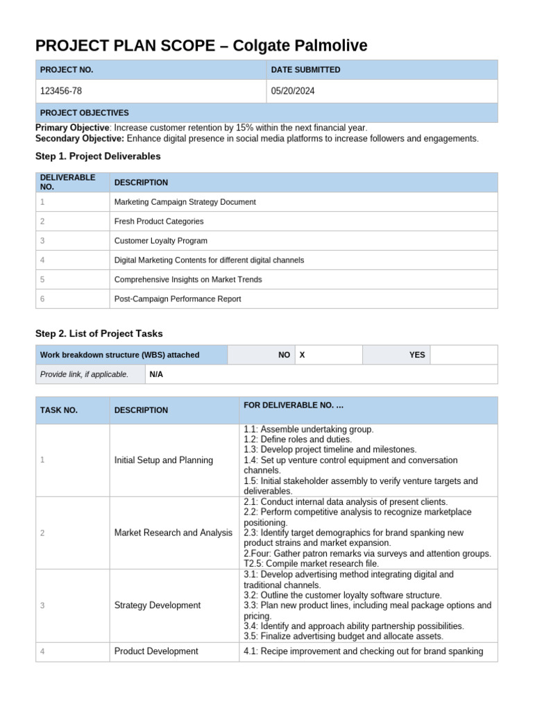 CRM Scoping for Colgate Project Plan | PDF | Marketing | Customer ...