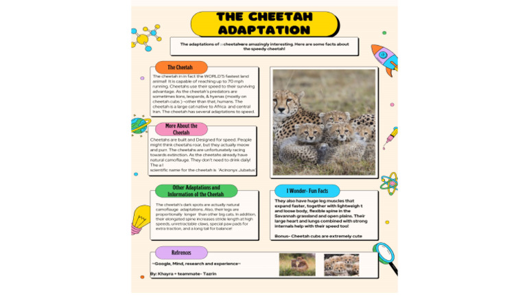 Adaptations Science Project | PDF