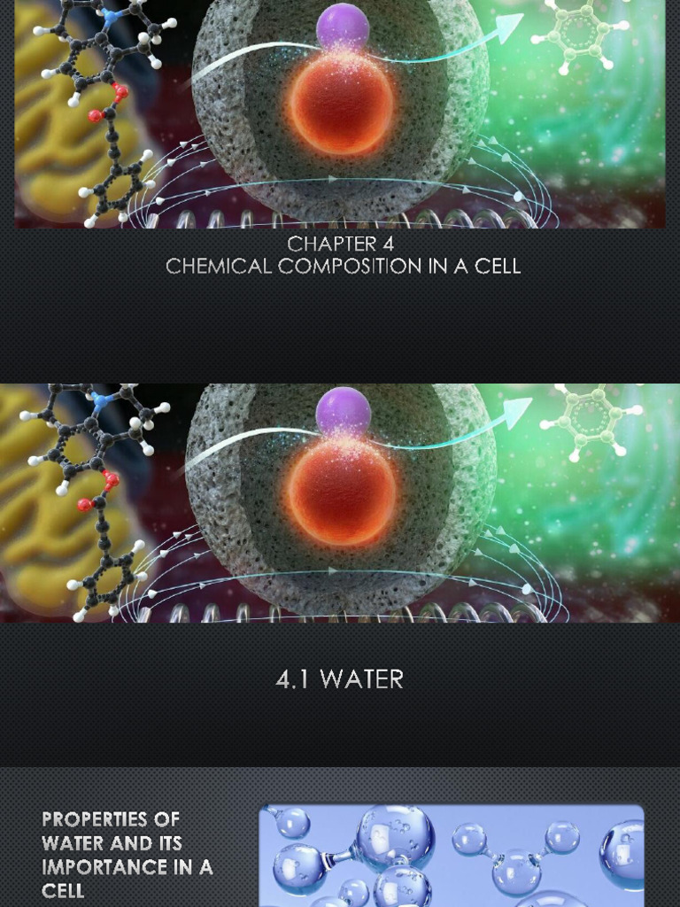 Properties and Functions of Water and Biomolecules | PDF