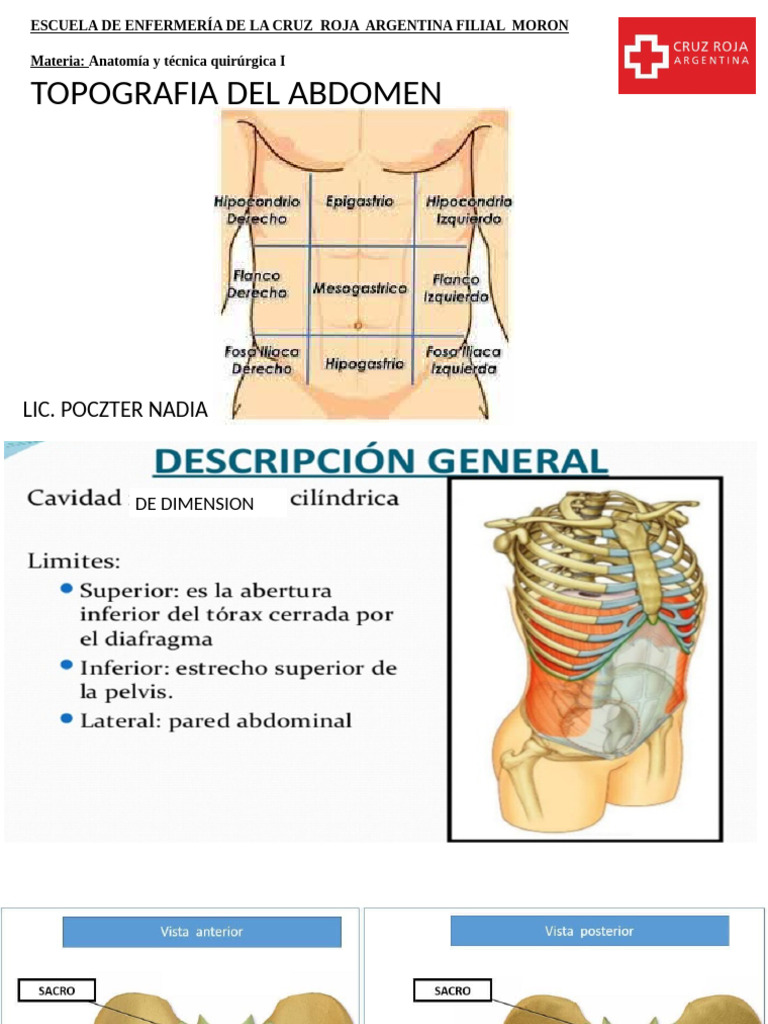 topografia-abdominal-ntp23-pdf