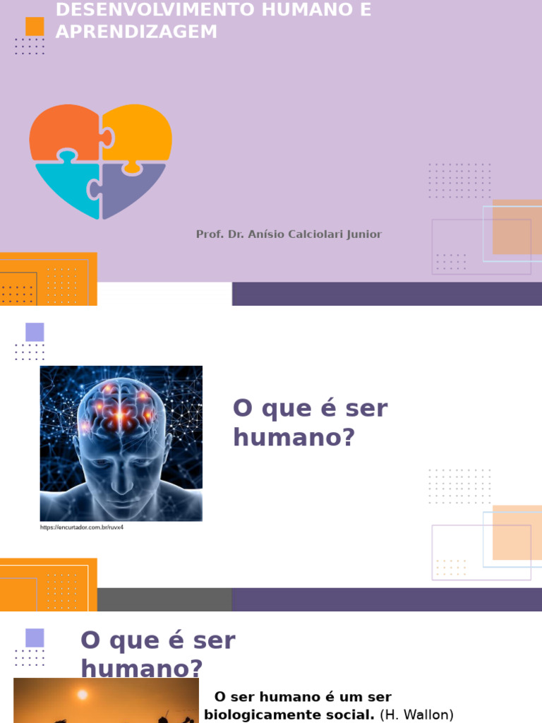 Desenvolvimento Humano e Aprendizagem | PDF