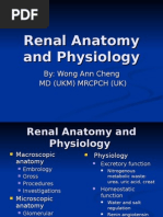 Download Renal Anatomy by An Zheng SN8526708 doc pdf